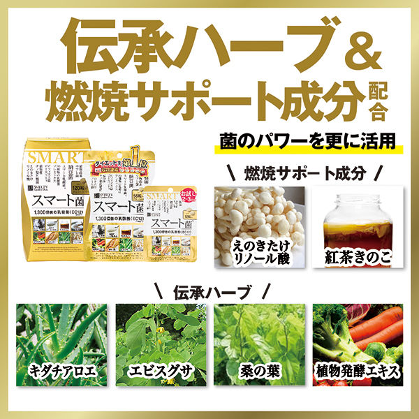 樂天排名第1 Svelty - SMART EC12 1300億乳酸菌 瘦身 納豆菌 每日建議2-4粒,