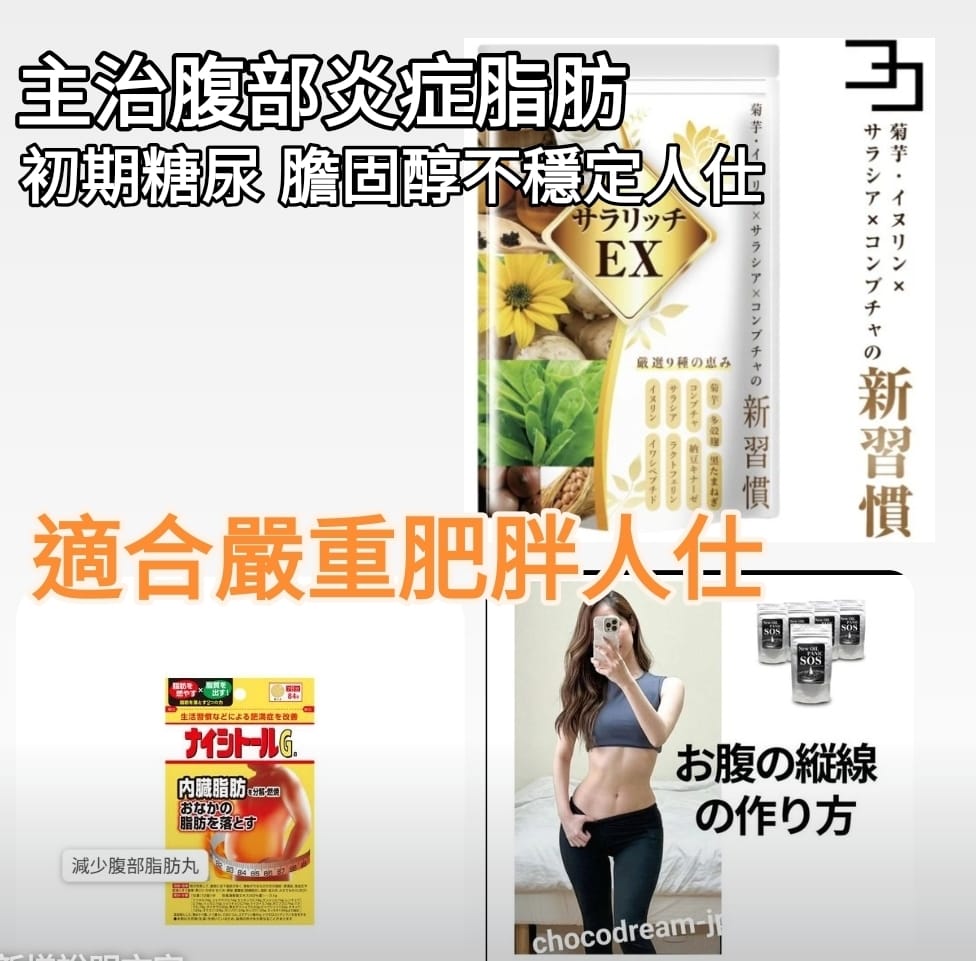 高級瘦身系列 穩定血糖及不穩定膽固敦 適合容易肥胖及BMI 過重問題
