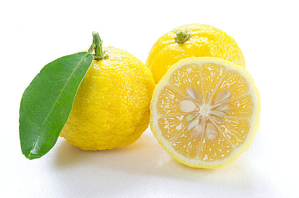 Ichikami Treatment 柚子公主香 230g 特別適合擔心受損的頭髮 Kracie 數量限量 含有柚子萃取物的高濃縮純日本草本高級萃取物
