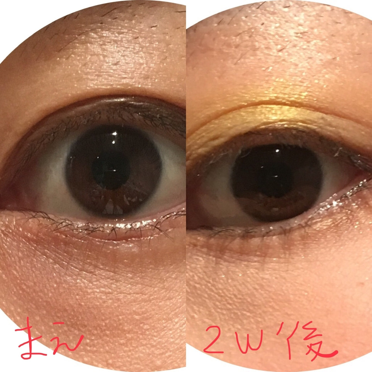 井田 - Honey Eye Roll-on Country and stream眼精華 蜜糖護眼精華棒 網站優惠