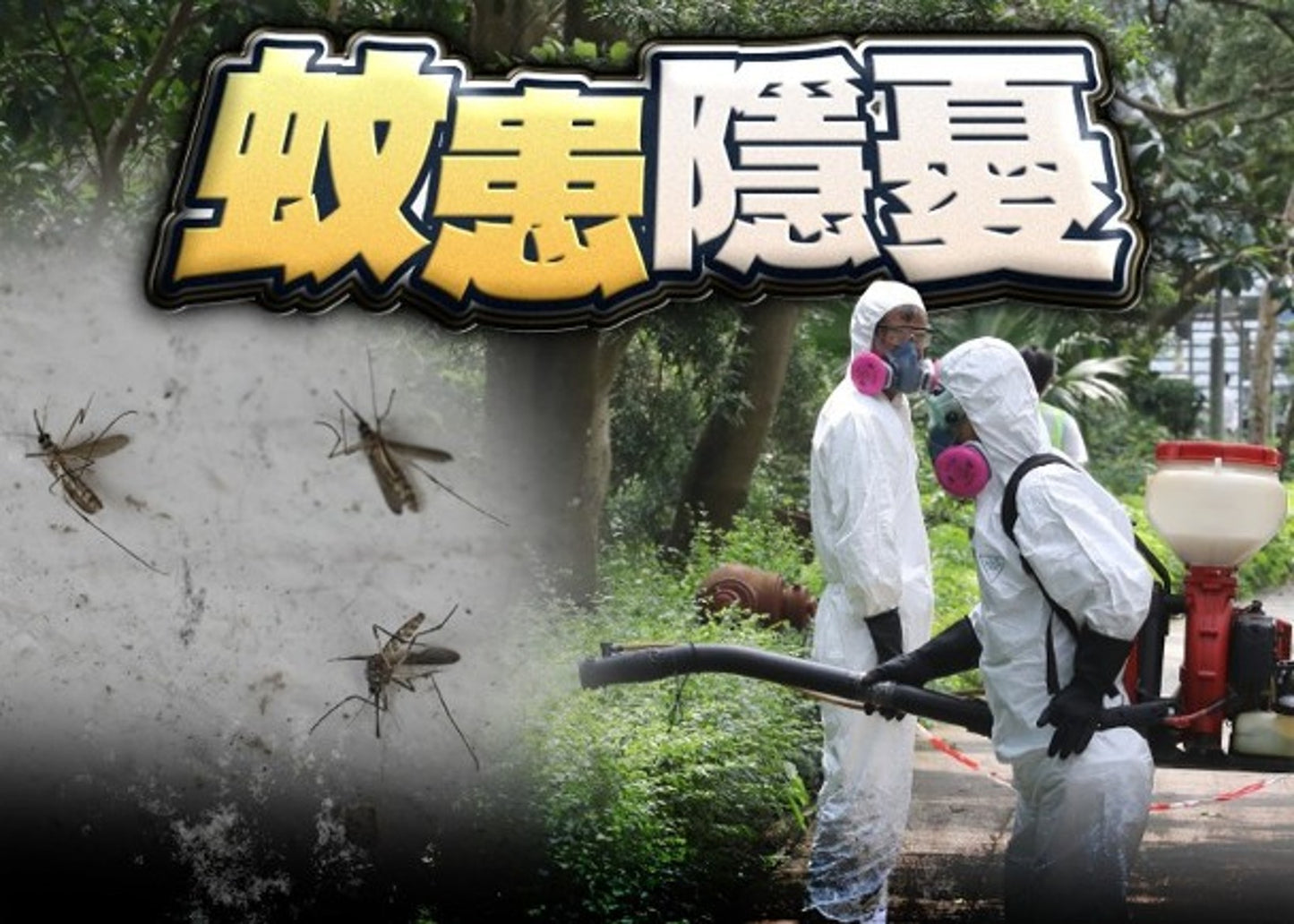 皮膚驅蟲噴霧 DF 草本植物 [殺蟲劑/驅蟲劑] 原產國：日本