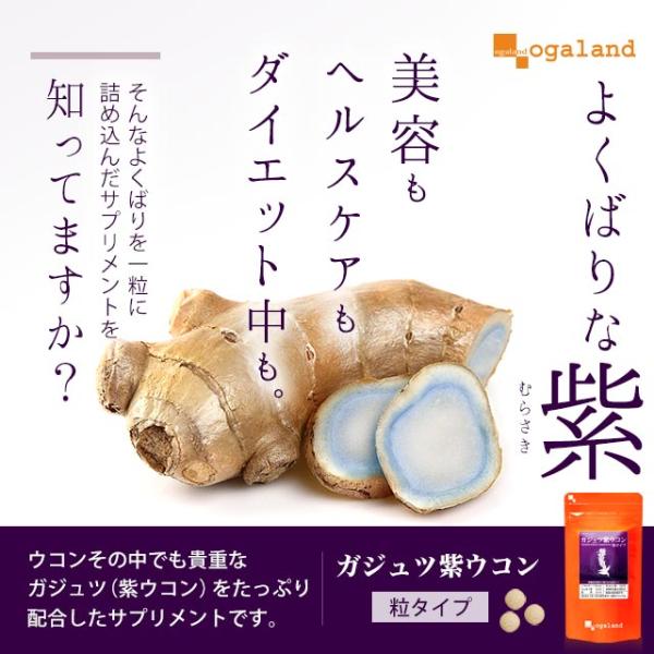 日本紫薑黃素, 改善健康、護肝美容、膳食補充劑、降低壞膽固醇 脂肪肝 薑黃素補充劑 已在日本售出1,127,403包 [2月尾再發售]