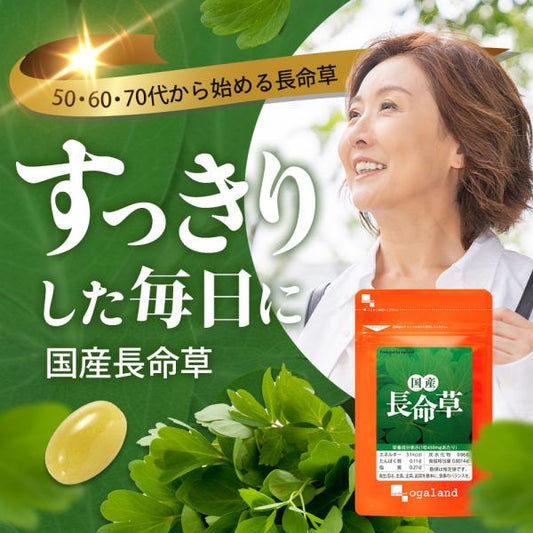 国産長命草 日本山楂萃取物、南瓜籽萃取物/明膠、甘油、蜂蠟、甘油脂肪酸酯、維生素E。