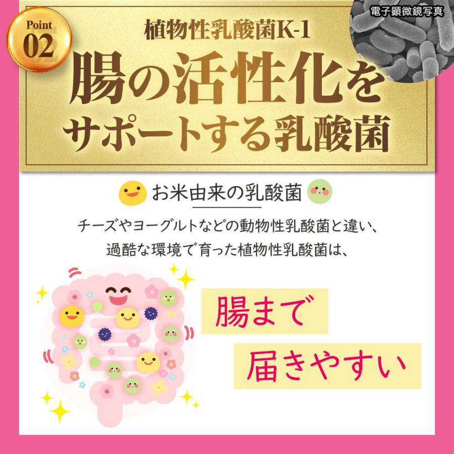 乳酸菌補充劑，適用於皮膚和腸道問題（約1個月用量），有益菌和有害菌，改善腸道環境，含胎盤素、透明質酸、維生素CAE