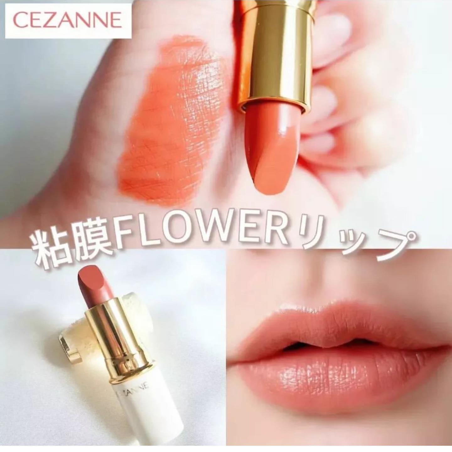 Cezanne 唇膏505 色 秋色限定 CEZANNE ラスティンググロスリップ505