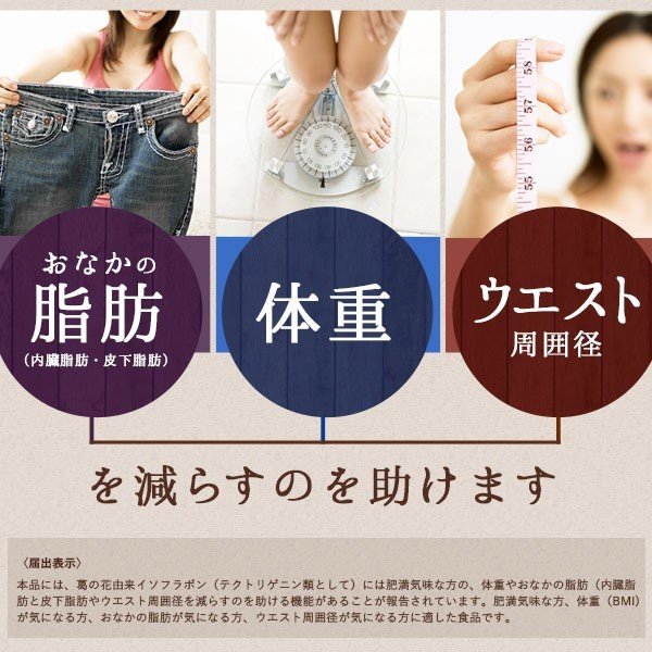 葛根花減脂粒 内臓脂肪減 機能性食品 DMJ 認證 - 東京雜貨店 Chocodream_JP