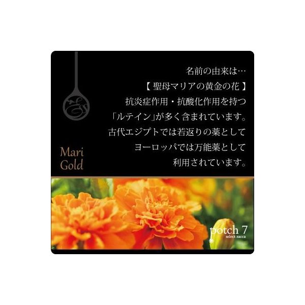 日本🇯🇵POLA aroma ess gold 洗頭水 - 東京雜貨店 Chocodream_JP