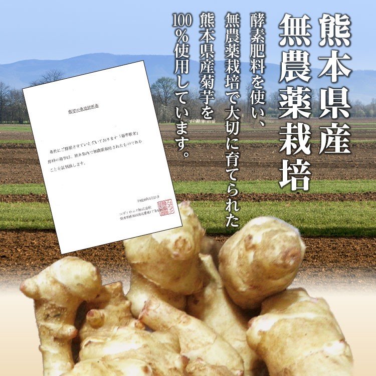 日本菊芋 之粒 180粒 (一包一個月份) - 東京雜貨店 Chocodream_JP